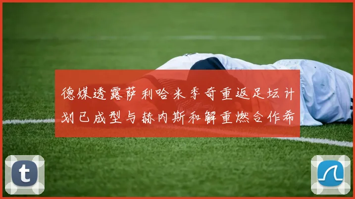 德媒透露萨利哈米季奇重返足坛计划已成型与赫内斯和解重燃合作希望