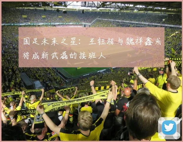 国足未来之星：王钰栋与魏祥鑫或将成新武磊的接班人